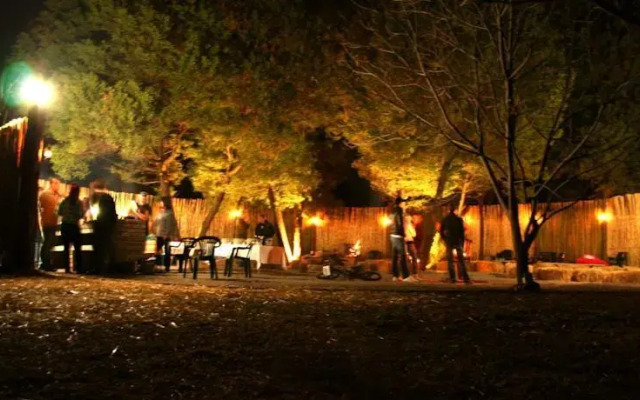 The Trees Venue
