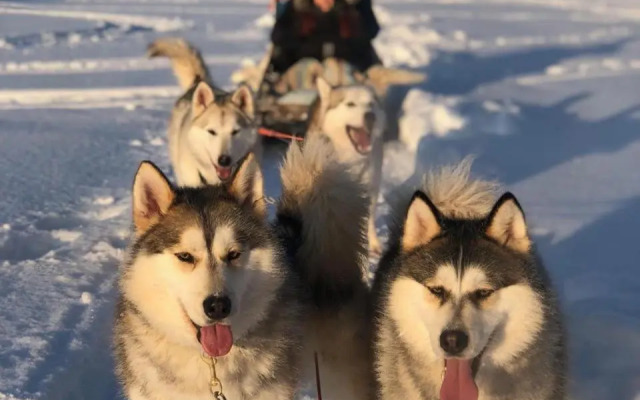 Guesthouse Arctic Heart