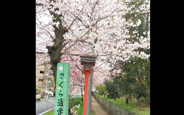 Kyounoyado Hana Nishijin