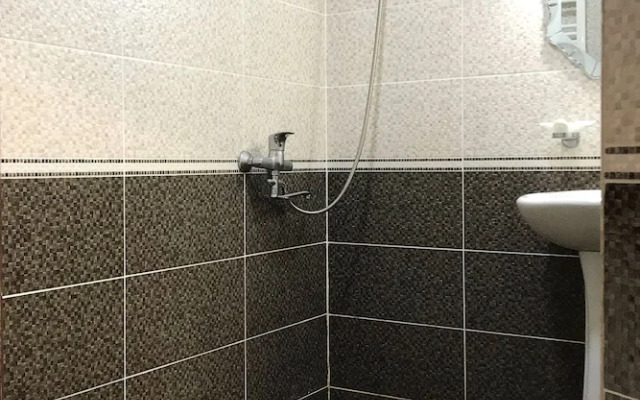 Отель Meskheti Palace