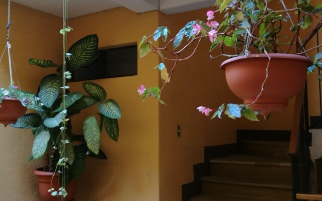 Apartamentos Macondo