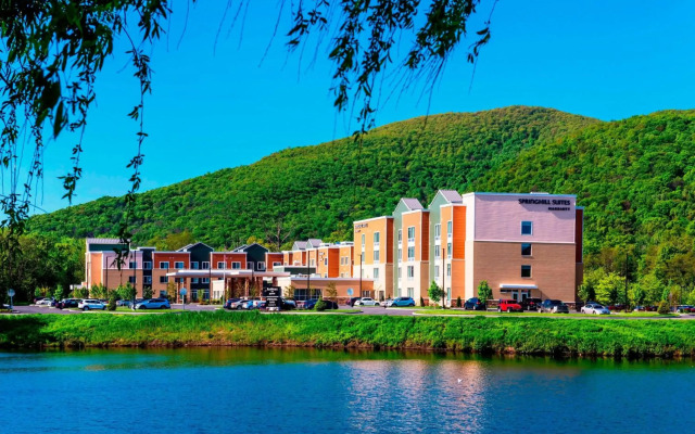 SpringHill Suites by Marriott Fishkill