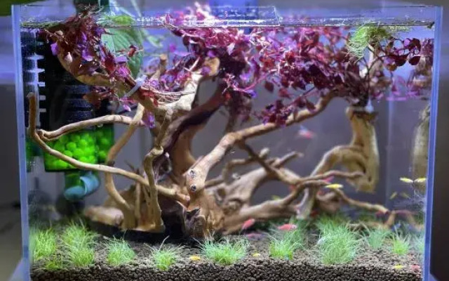 Zhaizhuang Gate Homestay (OMG Heartbeat Paradise)