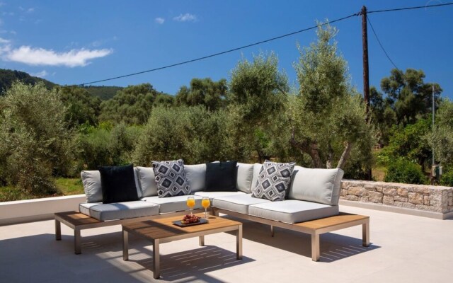 Villa Olive Green
