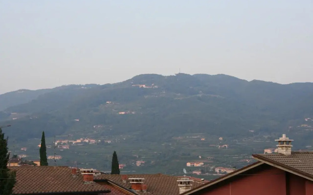 Azienda Agricola Villa Spinosa