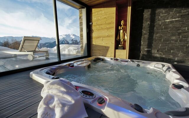 Luxury Chalet in the Very Extensive Paradiski ski Area