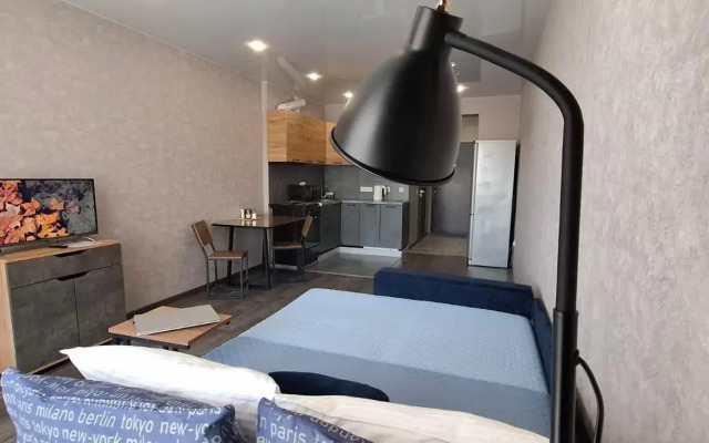 Апартаменты на улице Бородина 4