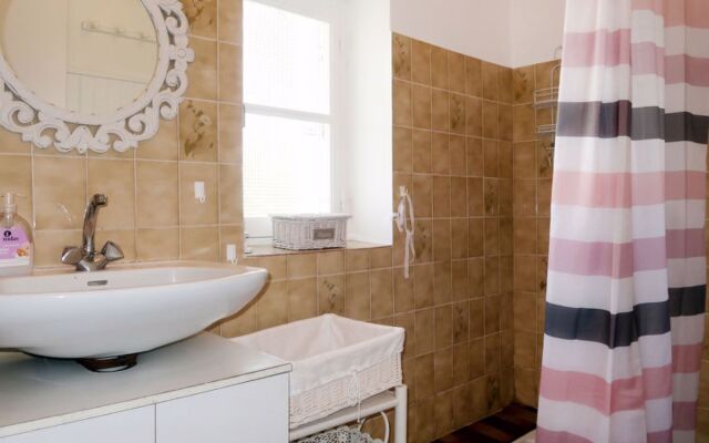 Les Hortensias (PGF100)