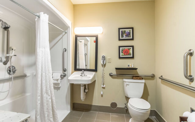 Comfort Inn & Suites Tuscumbia - Muscle Shoals