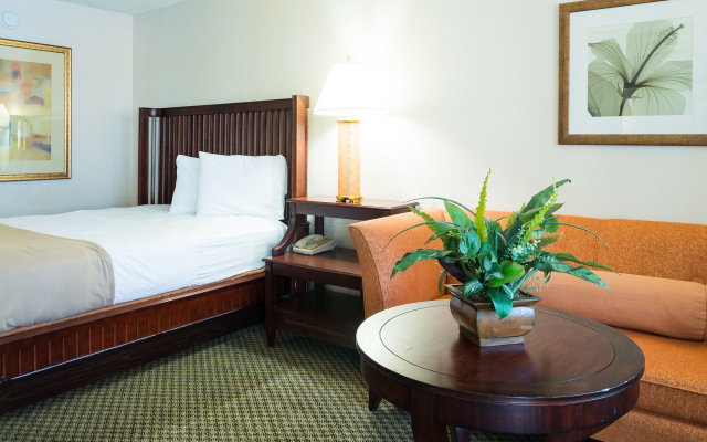 Vista Inn and Suites Tampa