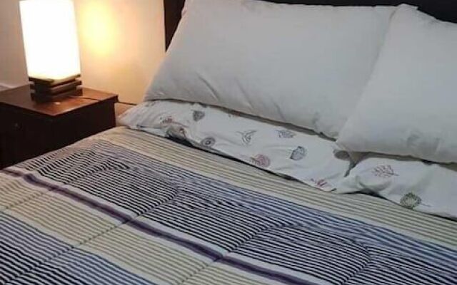 Wild Santiago Hostel