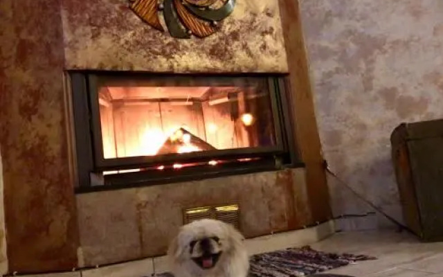 Hotel Elegant Epavlis