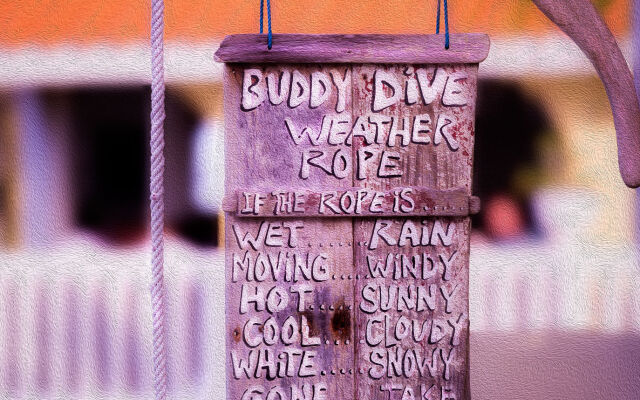 Buddy Dive Resort