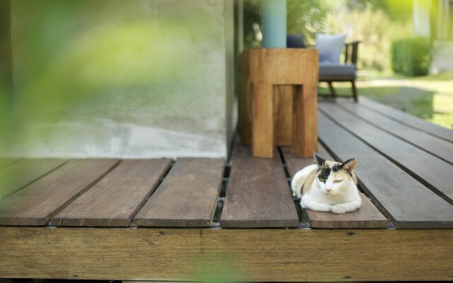 Pai Talay Guesthouse