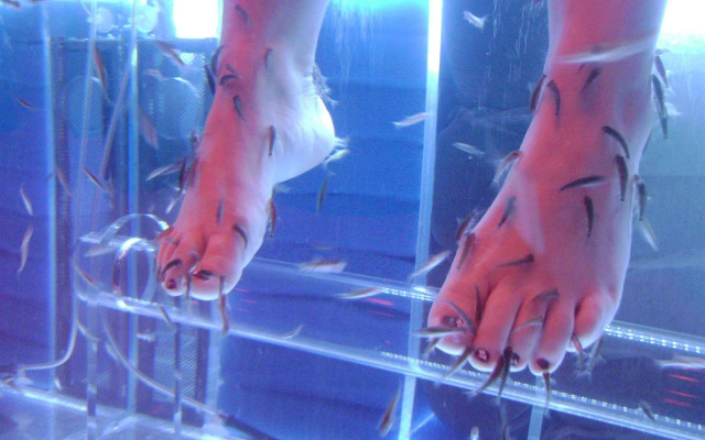 Hôtel Spa du Béryl