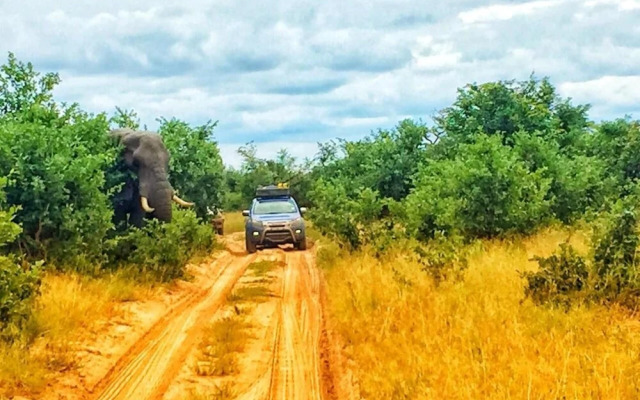 Boteti Tented Safari Lodge