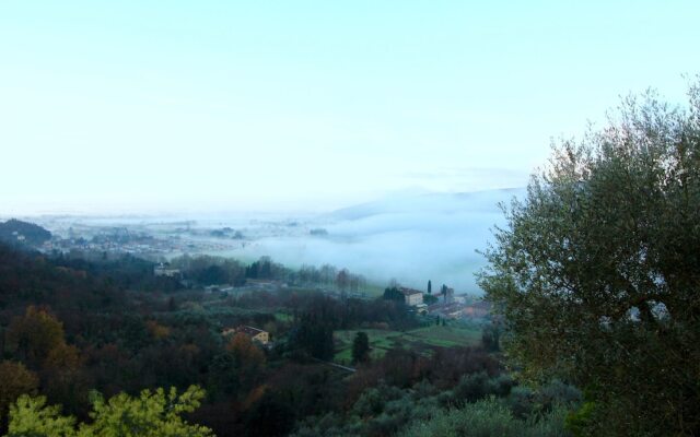La Lucertola