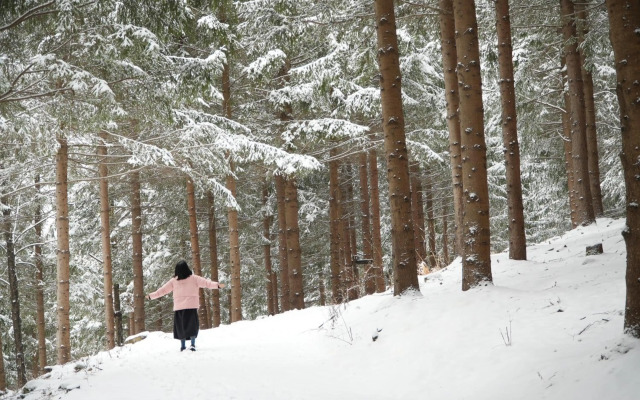 YongPyong Resort