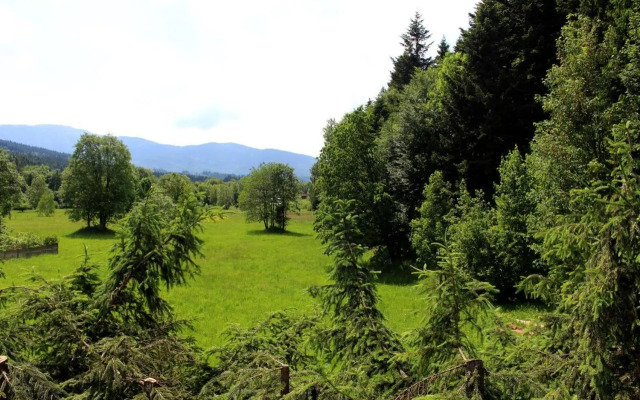 Zawoja Chaty Górskie D3