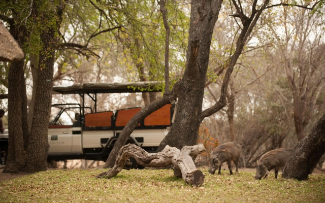 Moditlo River Lodge