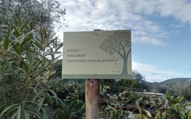 Agriturismo Campofiorito