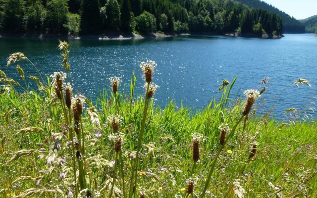 Gasthof Rennsteighütte