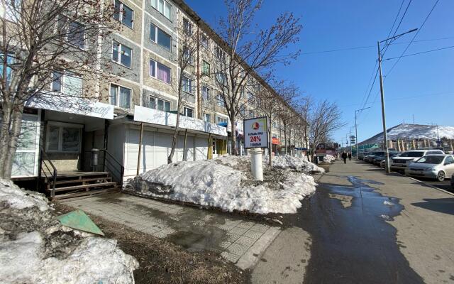 Apartments on Tushkanova street 2