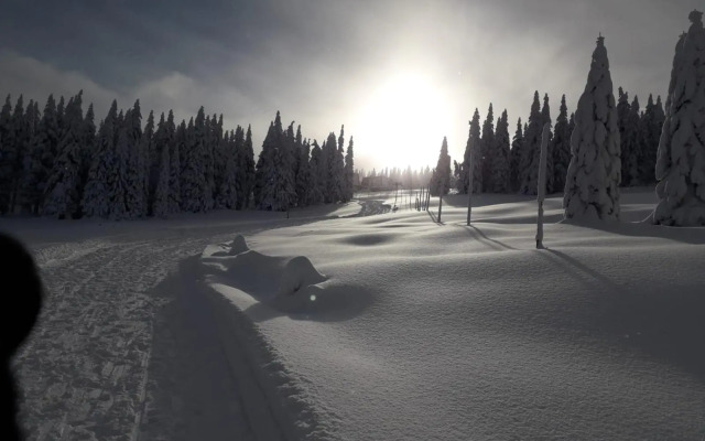 Apartmány Rychtaříkovi