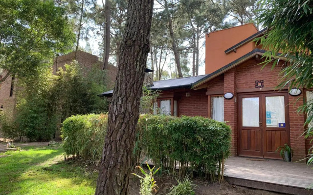 Kimbara Bosque Y Mar