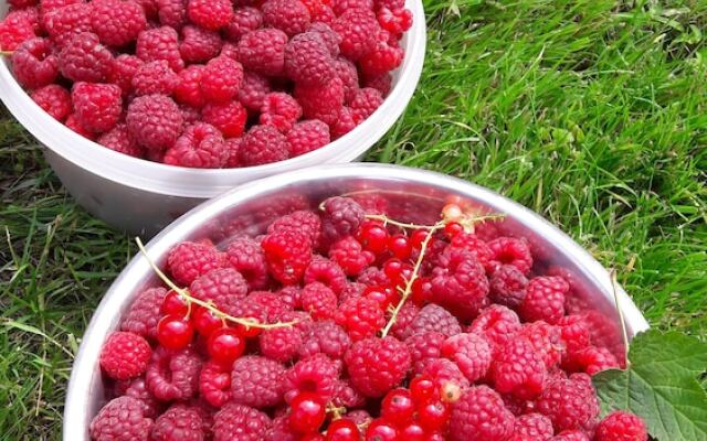 Ferme de Bonavis - Studios