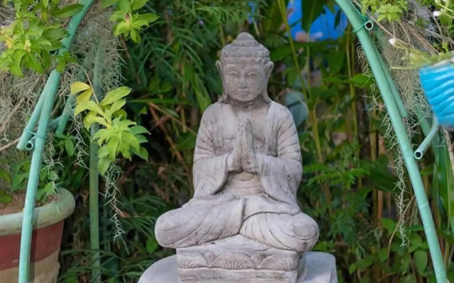 Evergreen Apartments