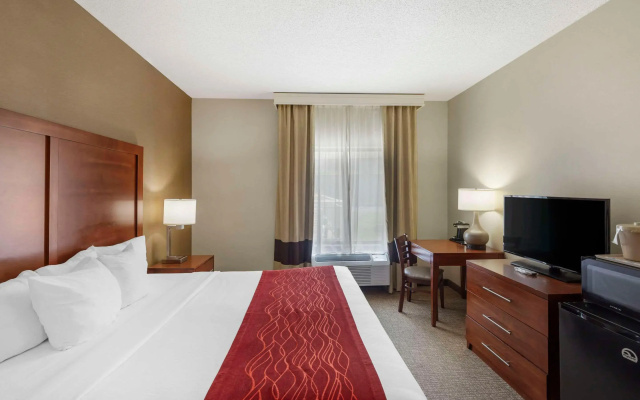 Comfort Inn & Suites Rapid City South - Mt. Rushmore Gateway