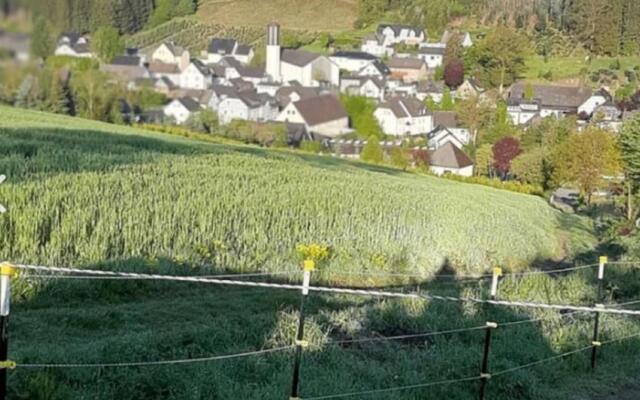 Cosy Apartment in the Beautiful Sauerland