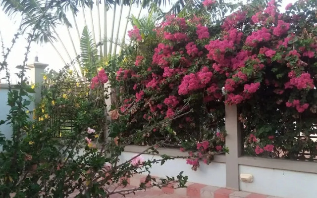 Samanene Beach Hotel