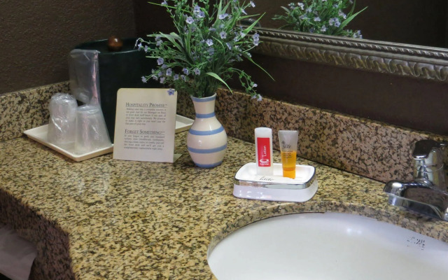Econo Lodge Savannah Gateway I-95