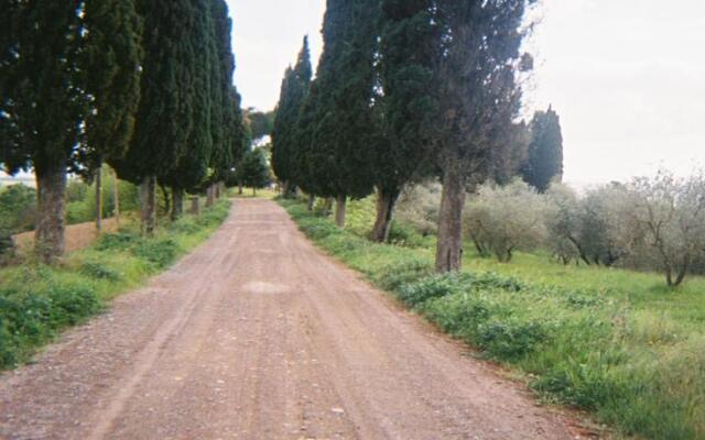 Villa Montisi - Podere Ampella