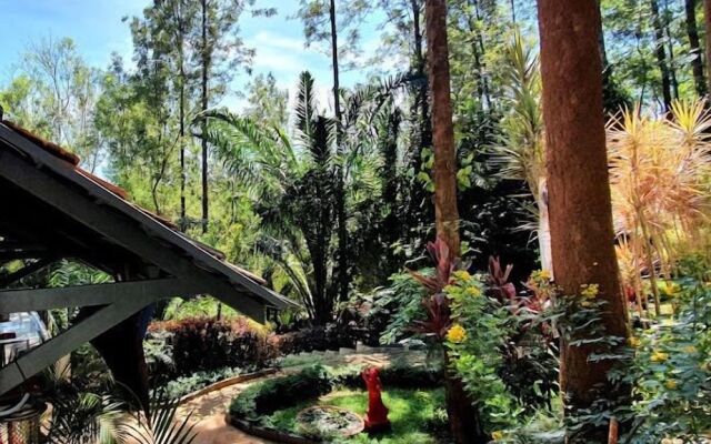 The Spectrum Resort