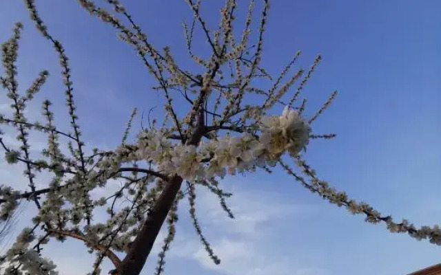 Xinyuan Yonghao Hotel