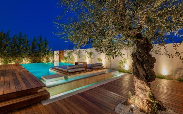 Oresteia Executive Villa, a Flamboyant Retreat, By ThinkVilla