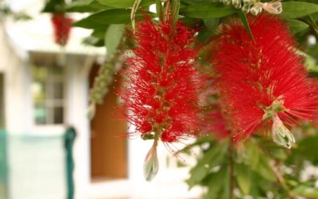 Bluff Hill Bed & Breakfast