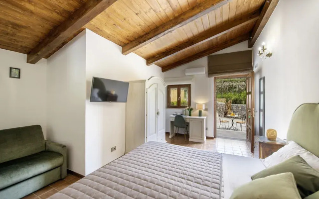 IL vigneto di nonno Pietro