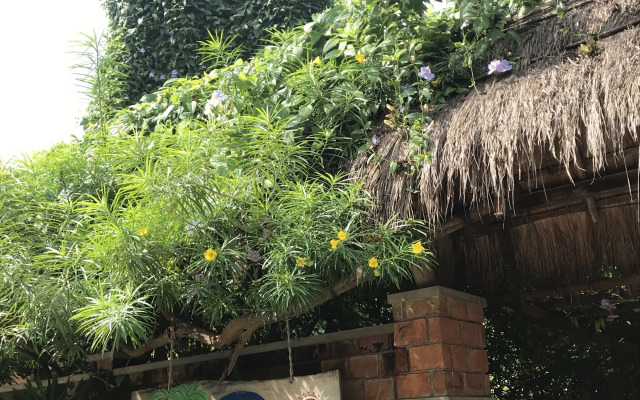 Arugam Bay Surfing Resort