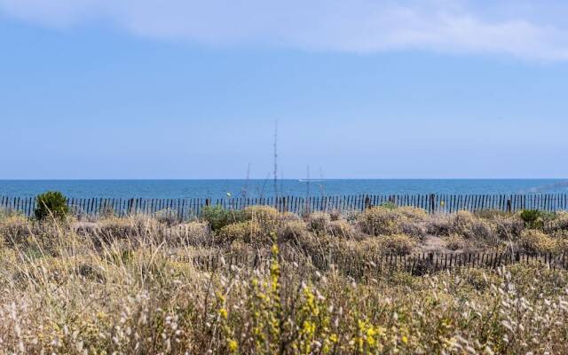 Holiday Home With a Barbecue on the Languedoc Coast