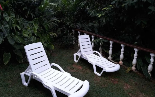 Tropical Garden Self Catering