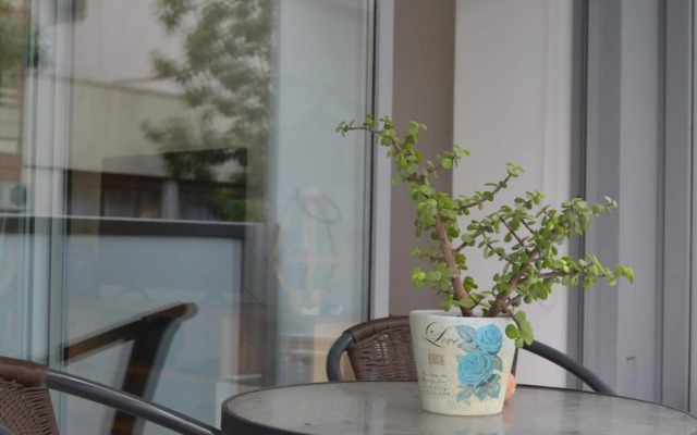 APT New Studio Palermo