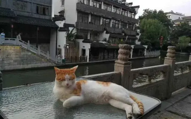 Orange Hotel (Nanjing Confucius Temple Cruise Terminal)