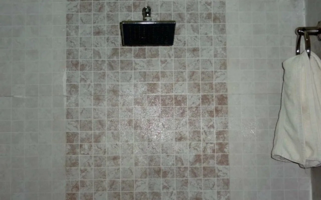 Hotel Parvati Palace