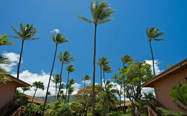 Maui Sands