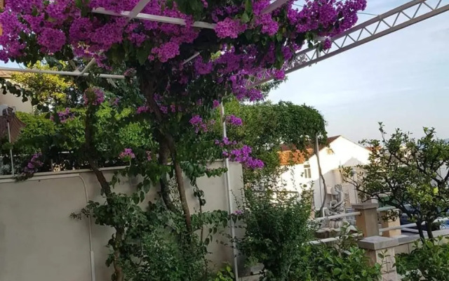 Apartman Nikolić 2