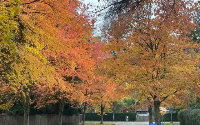 Campus Haven